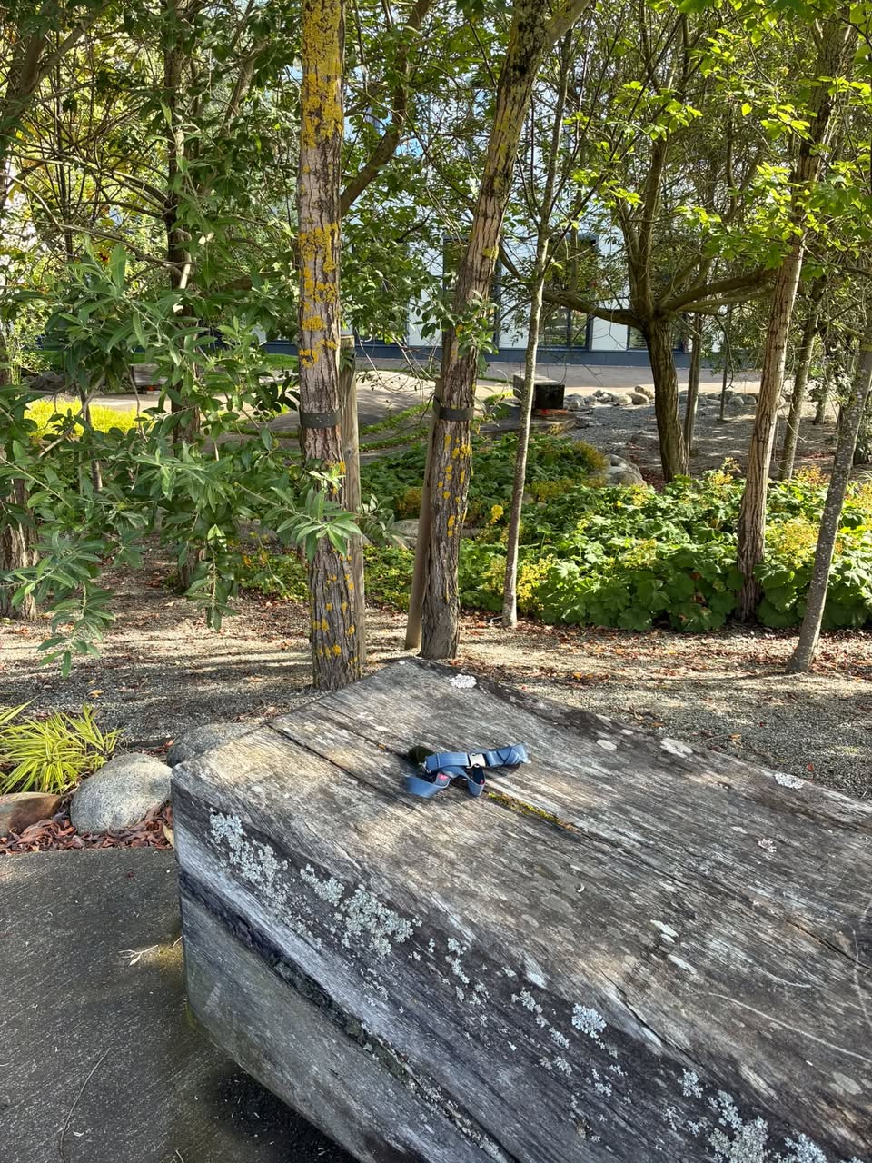 Found keys