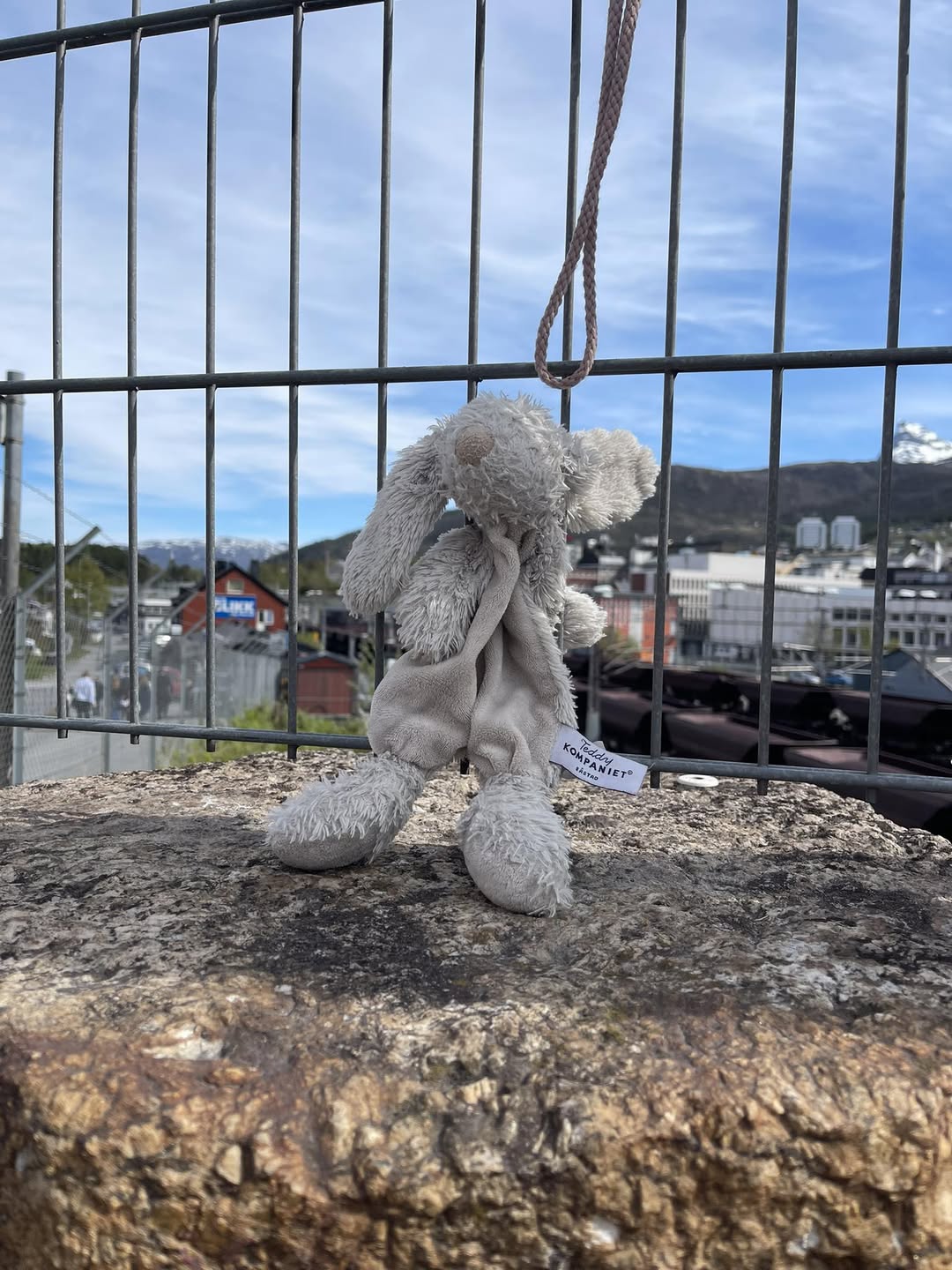 Found toy