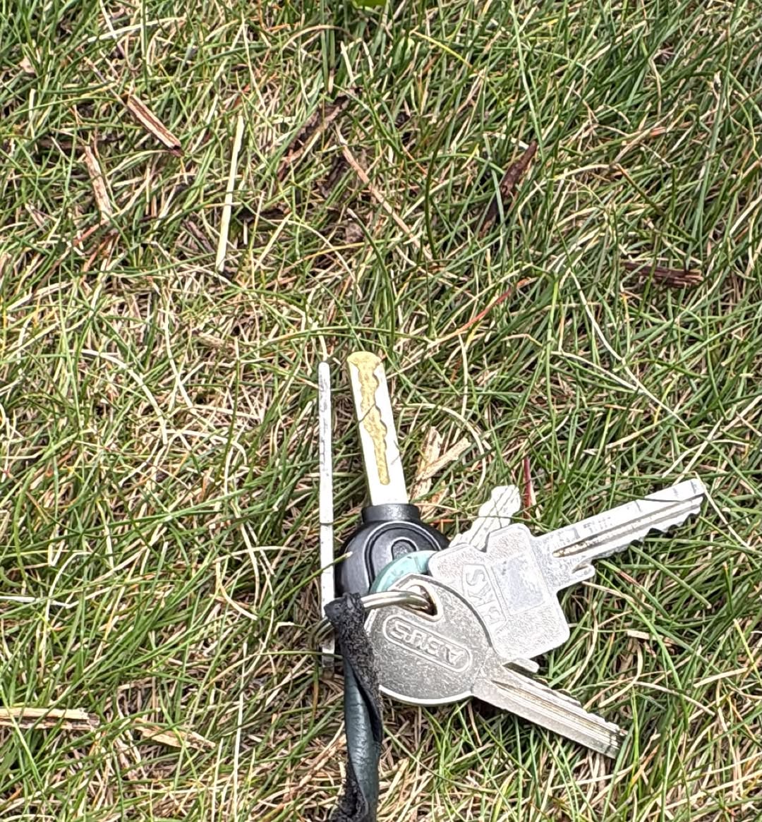Found keys
