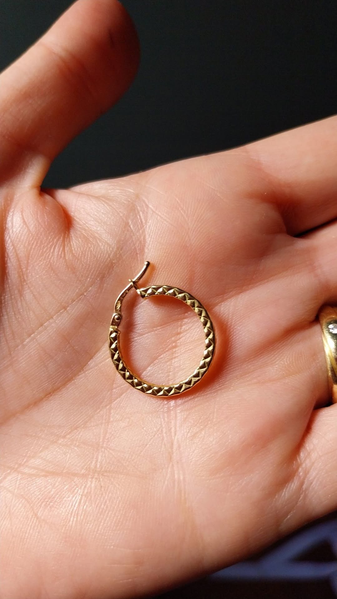 Lost Earring in Turin