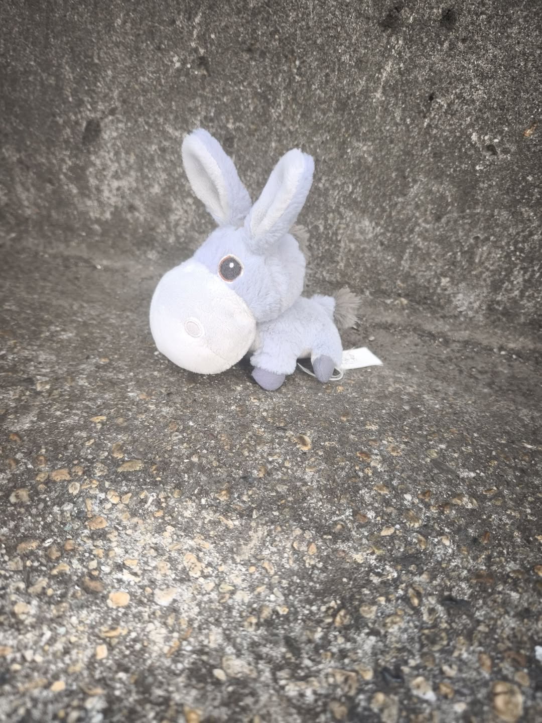 Found Toy in Turin