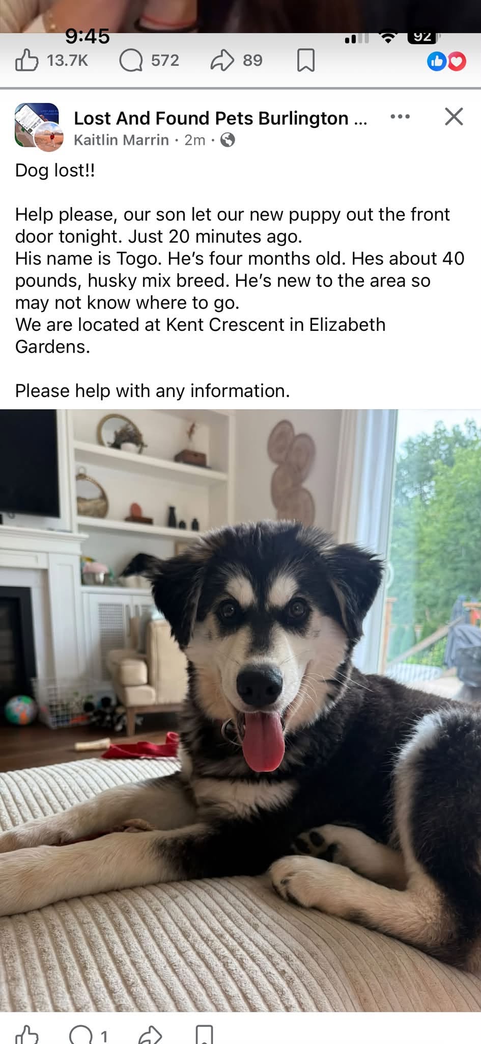 Lost Dog in Elizabeth Gardens