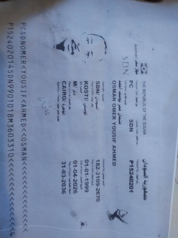 Lost Passport in Cairo