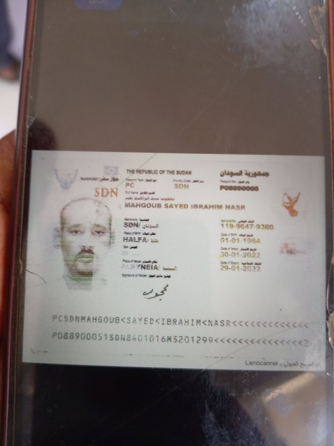 Lost Passport in Egypt