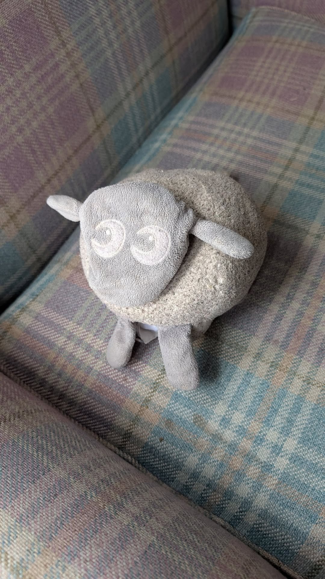 Lost toy