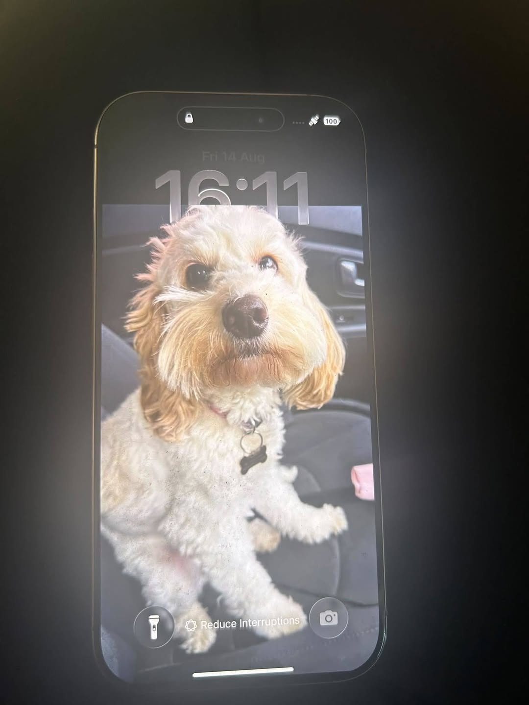 Found phone