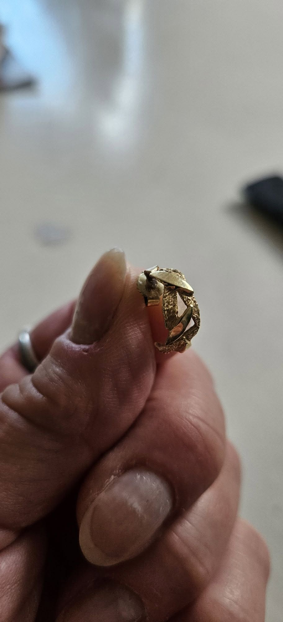 Lost Earring in Oslo