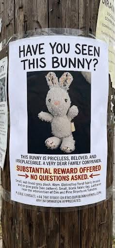 Lost toy