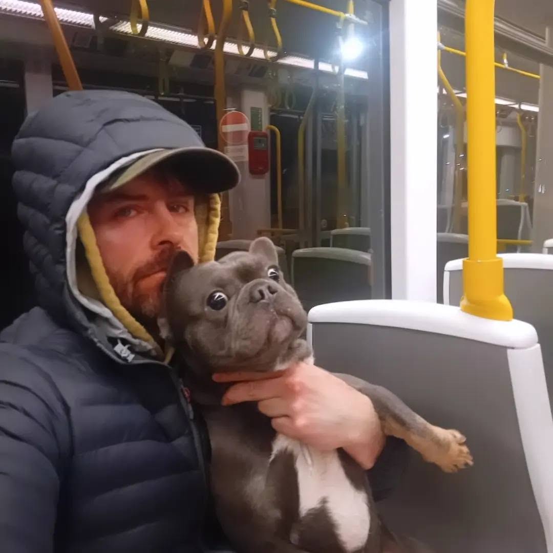 Lost Dog in Greater Manchester