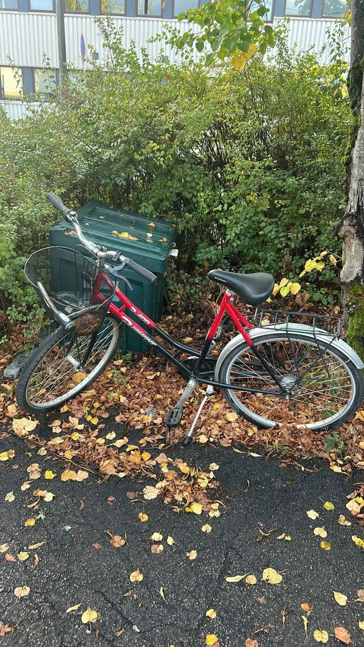 Found bike