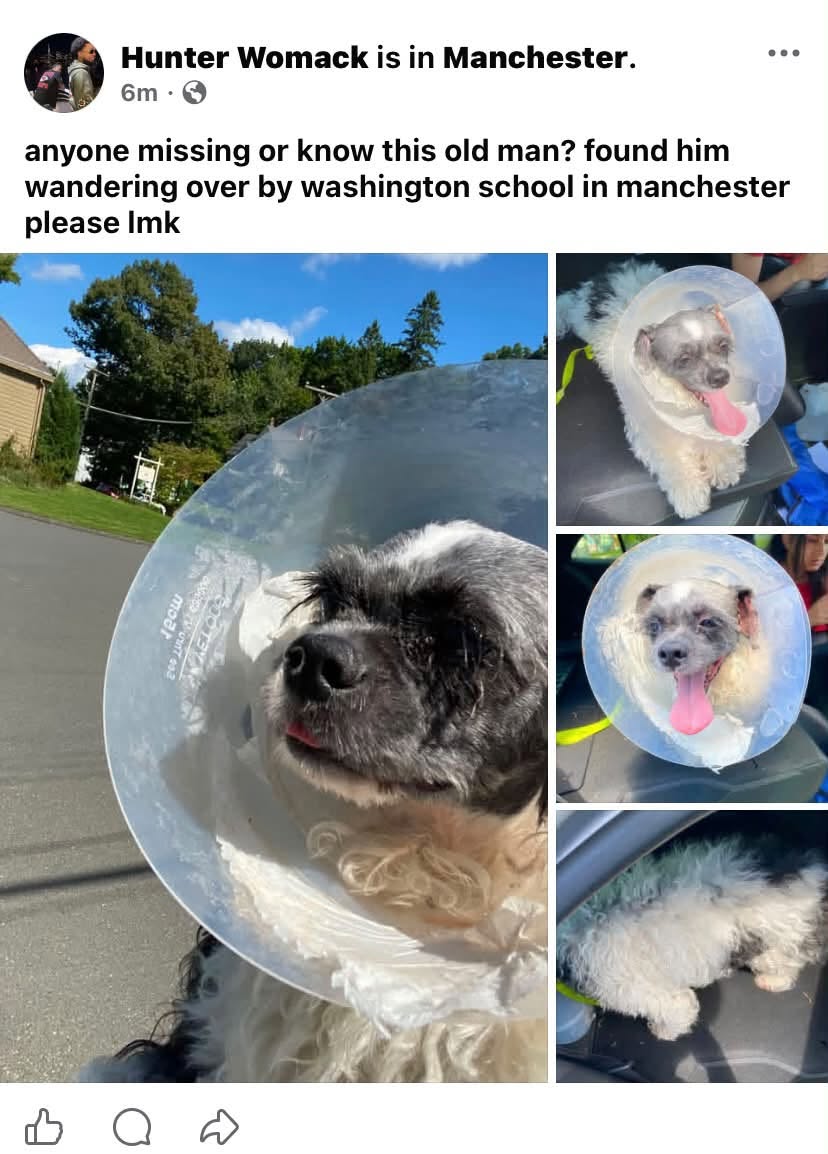 Found dog