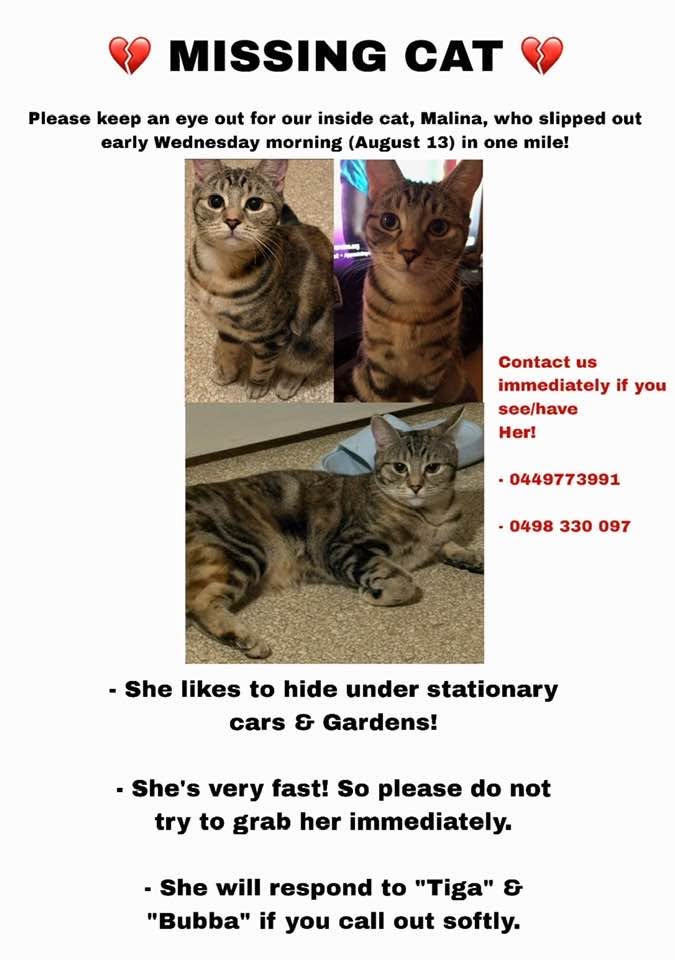 Lost Cat in One Mile