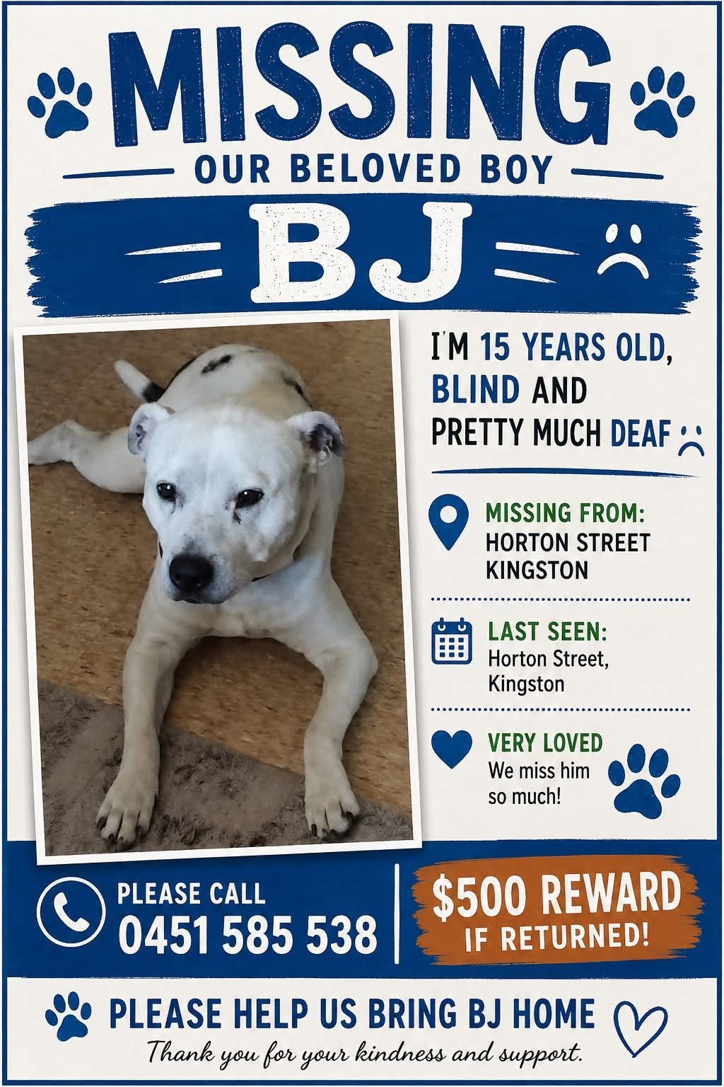 Lost Dog in Kingston