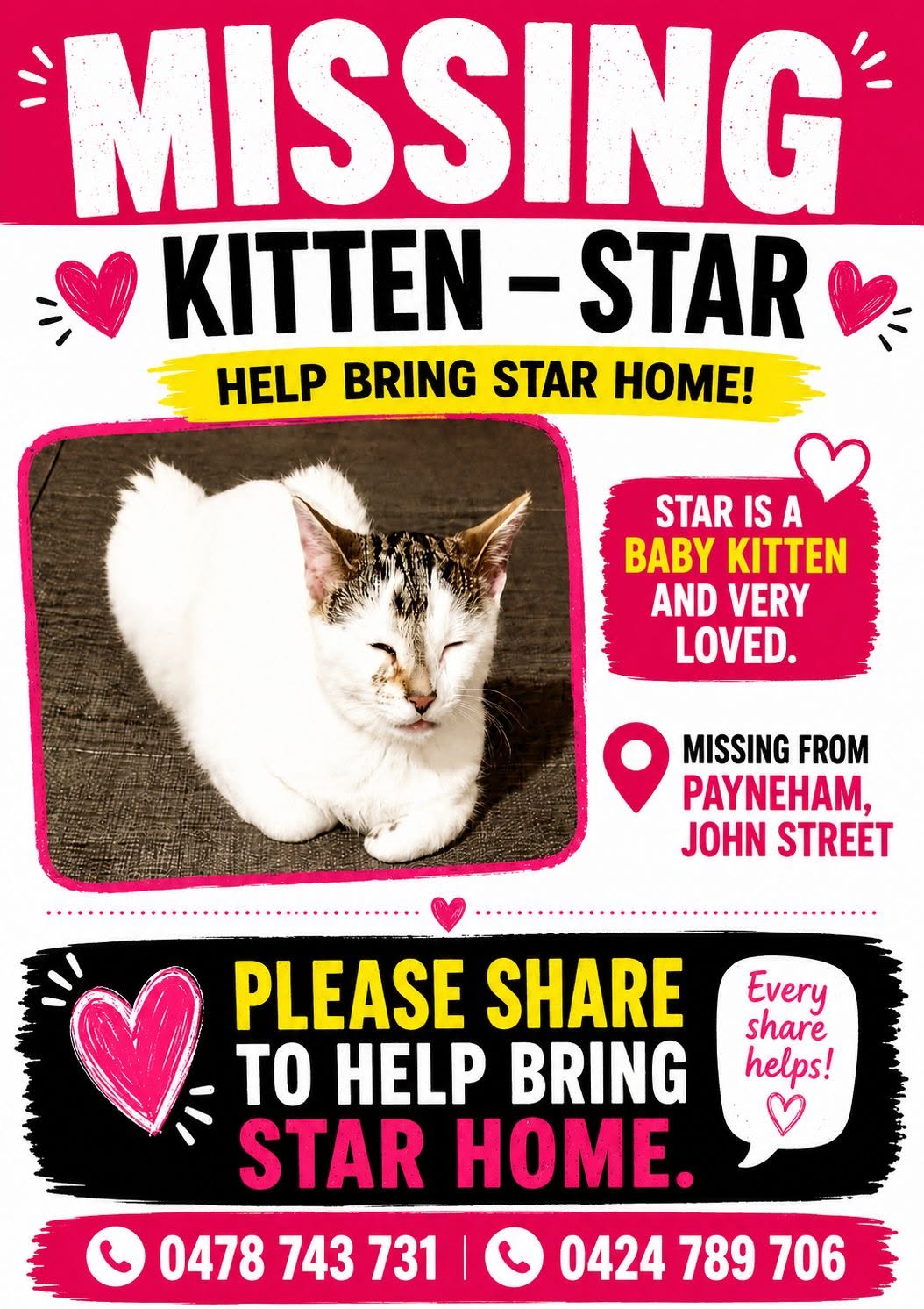 Lost Cat in Payneham