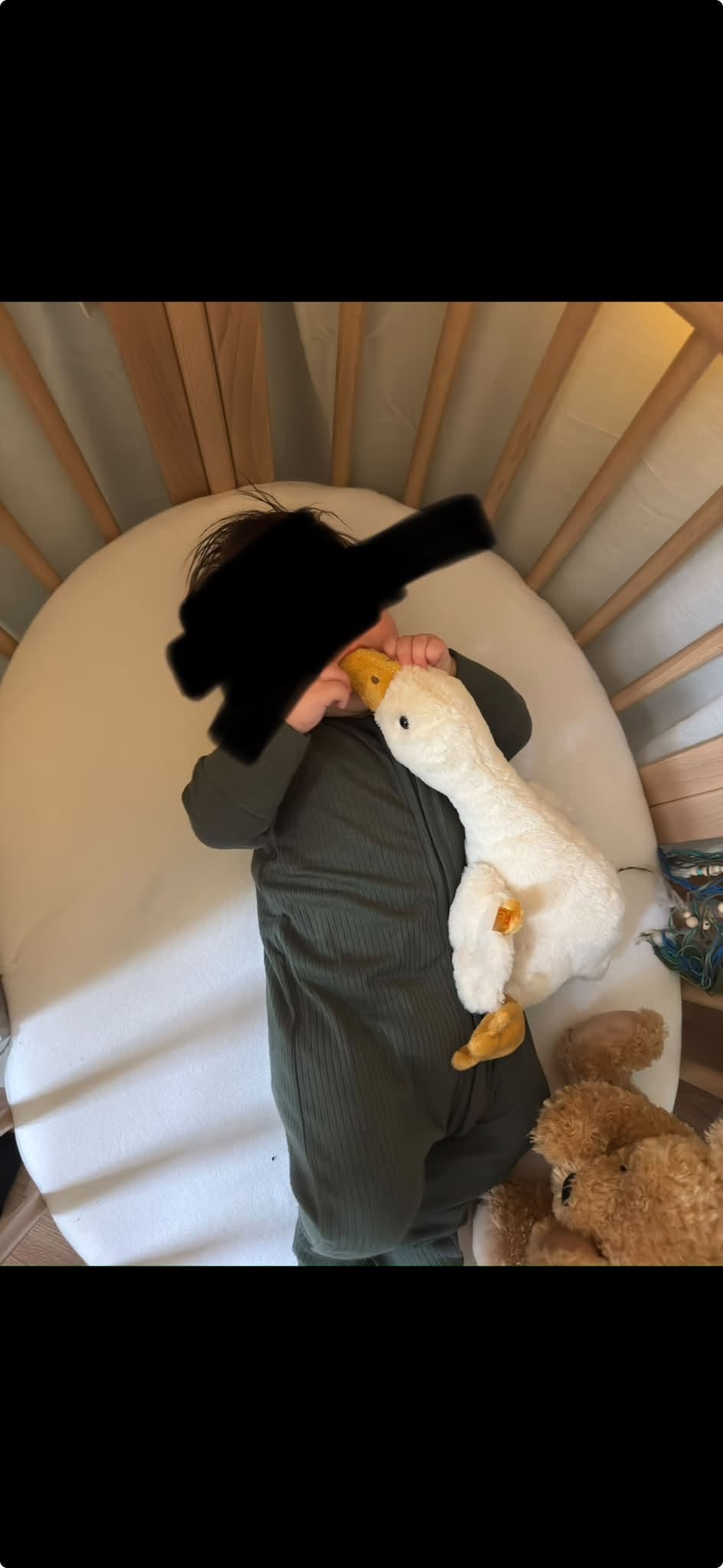 Lost Toy in Drammen