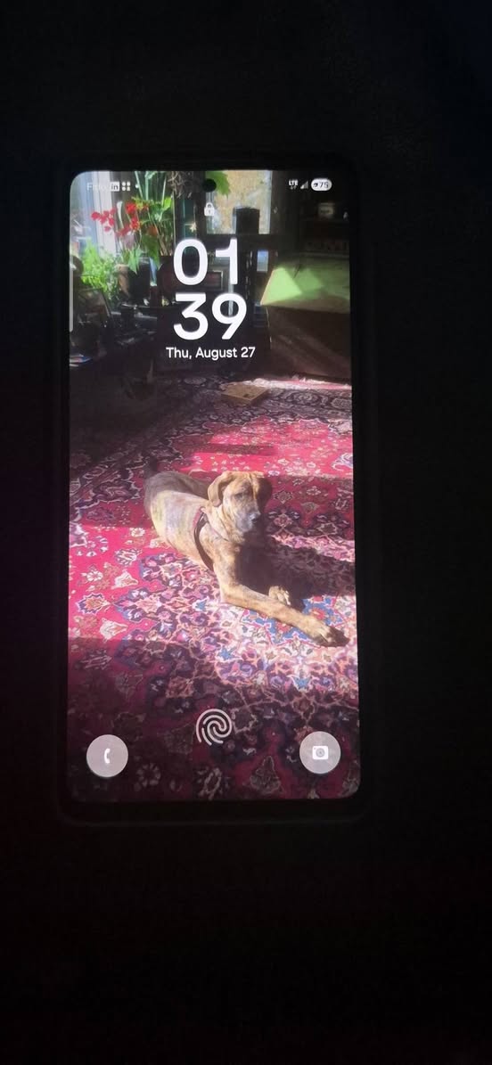 Found phone