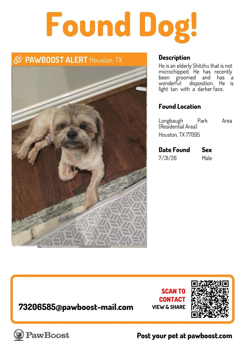 Found dog