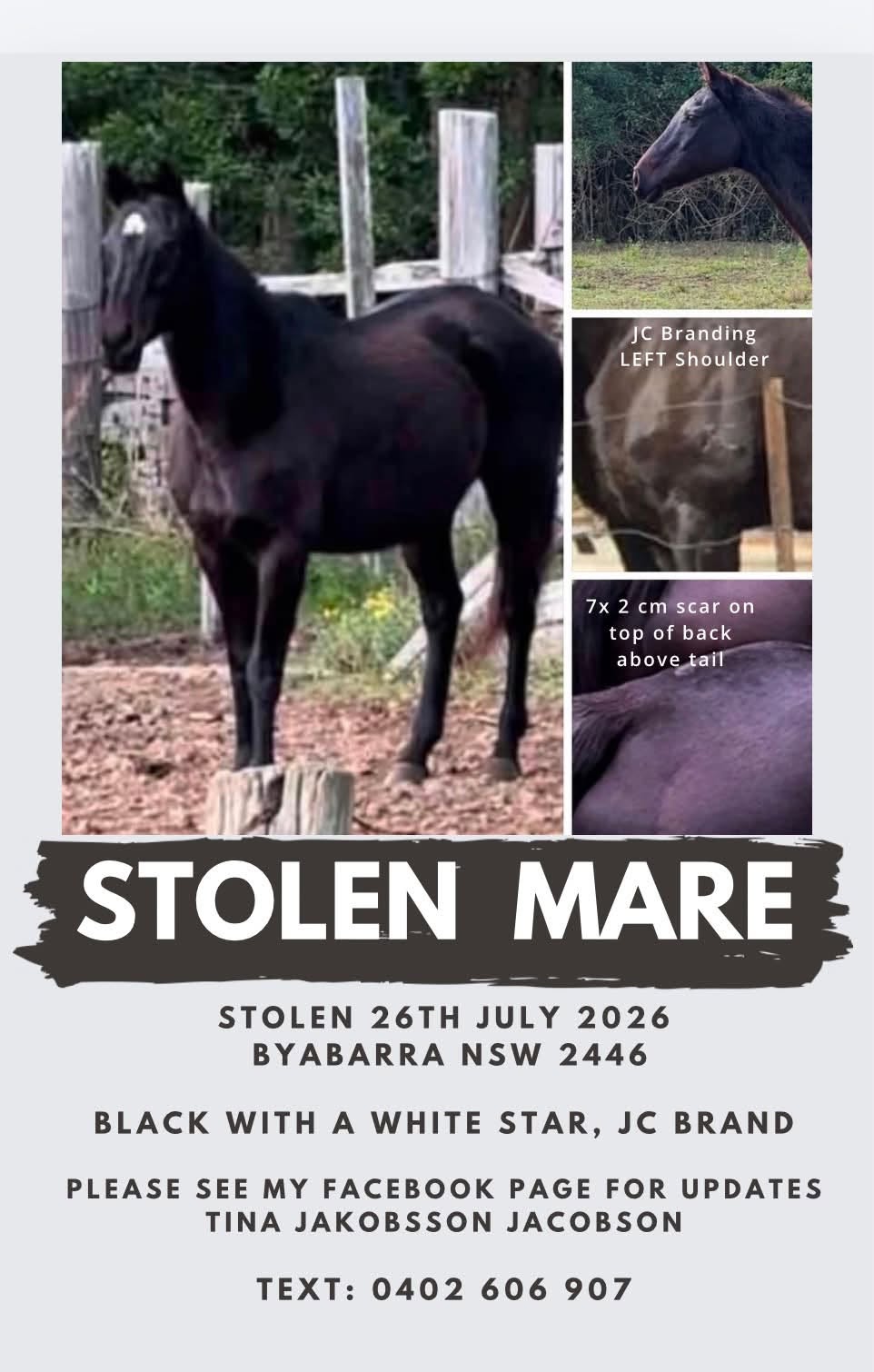 Lost Horse in New South Wales