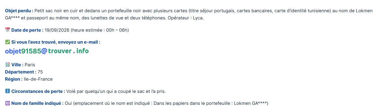 Lost Bag in Paris