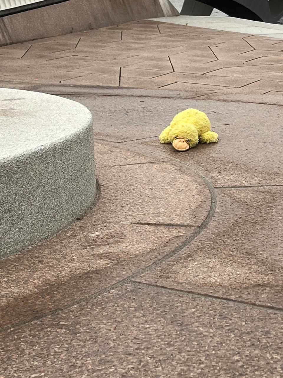 Found stuffed animal
