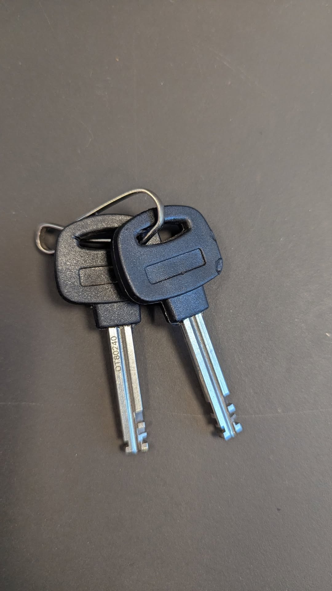 Found keys