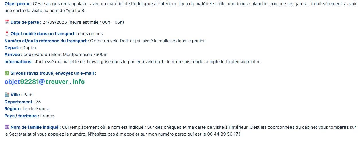 Lost Bag in Paris
