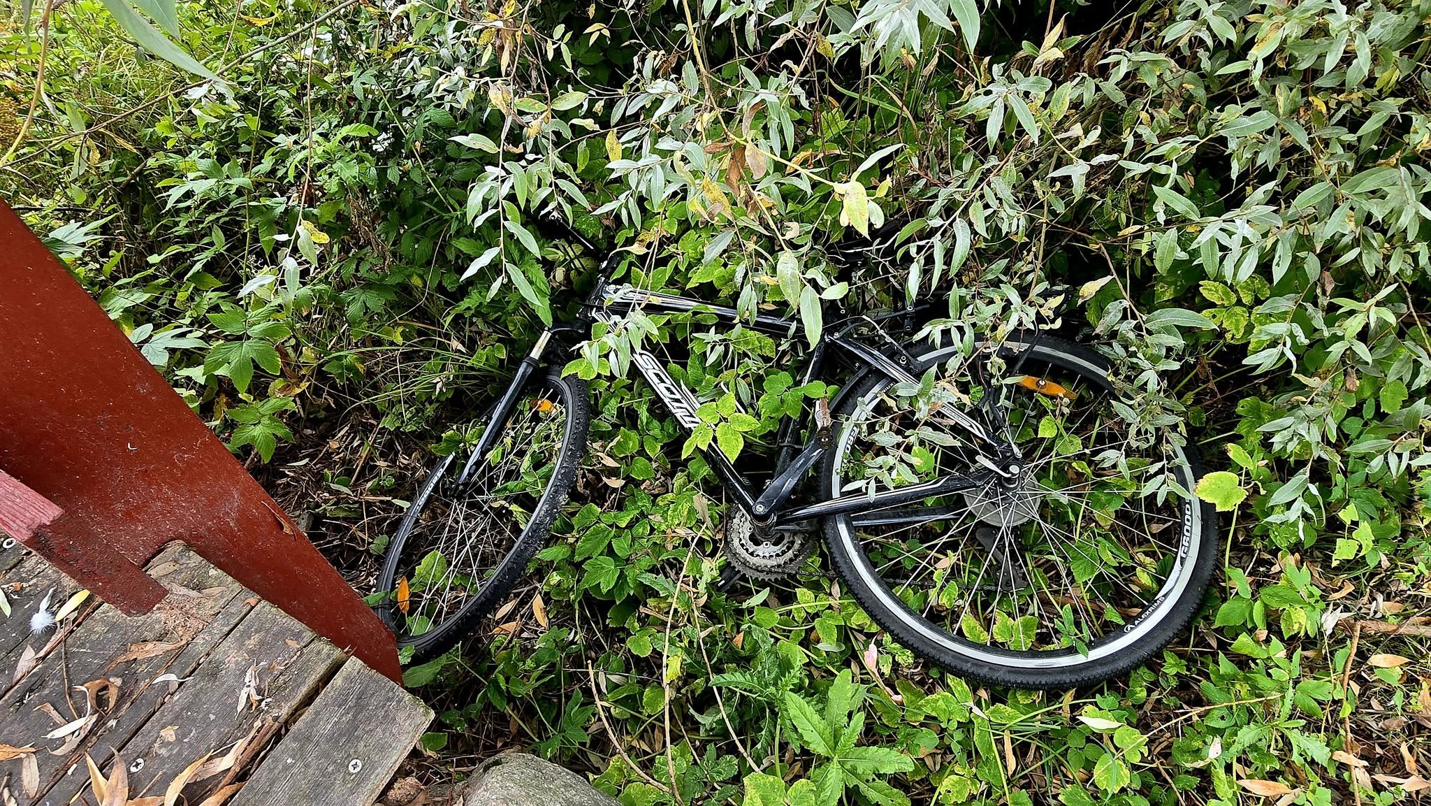 Found bike