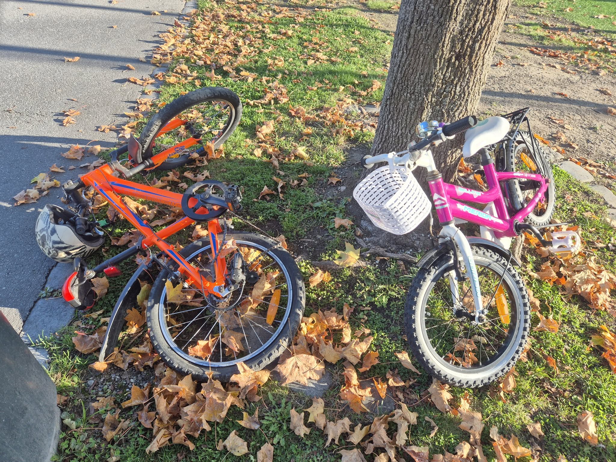 Found bike