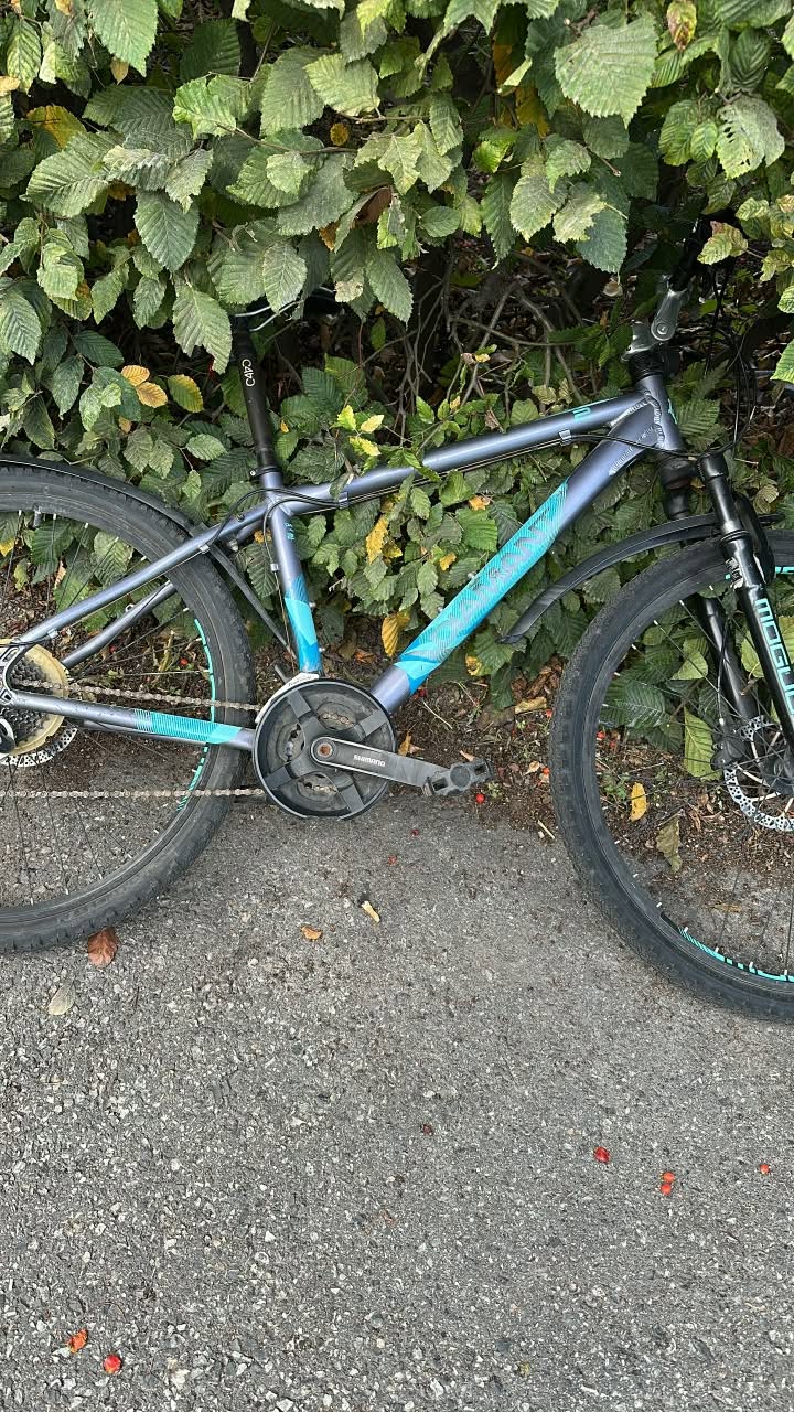 Found bike