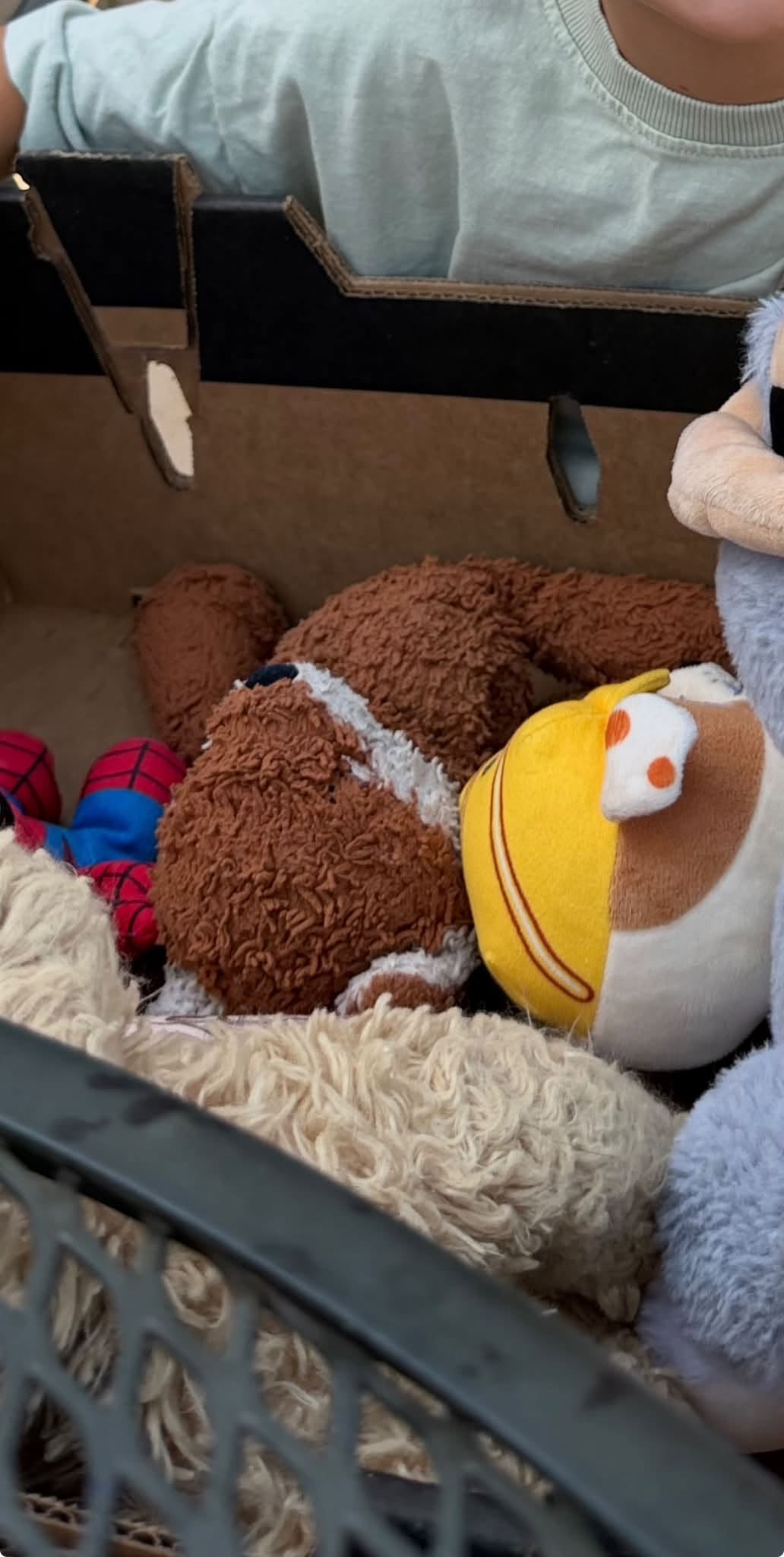 Lost Toy in San Marcos