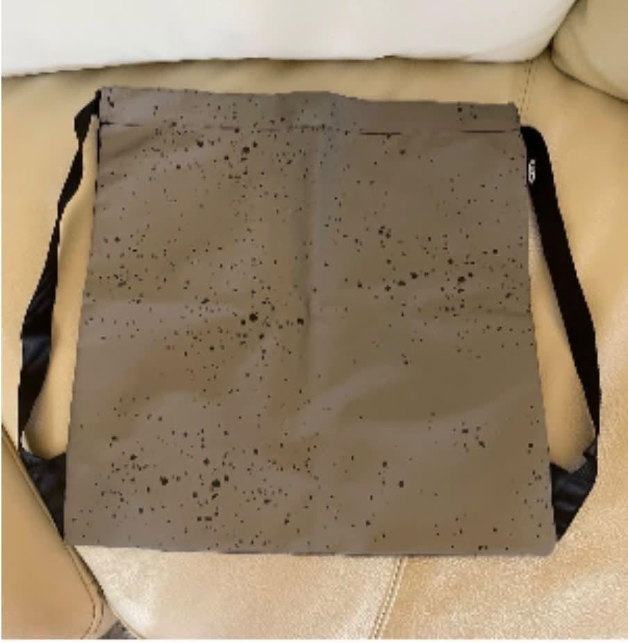 Lost Bag in San Diego