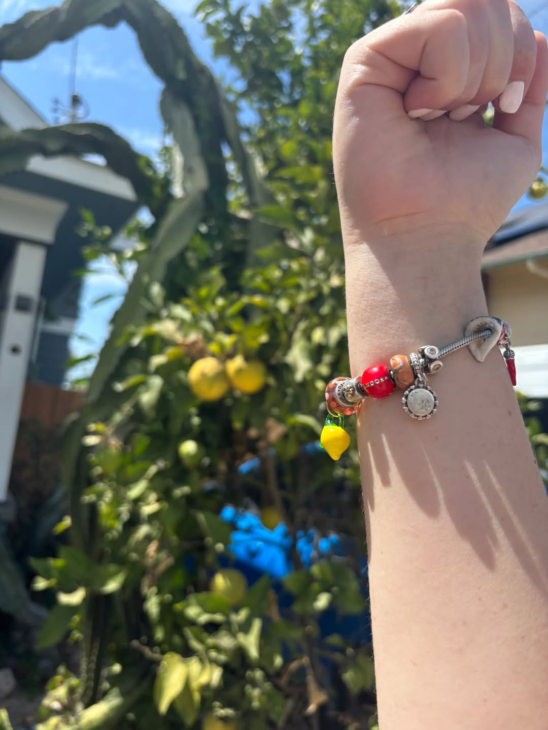 Lost Bracelet in La Jolla Shores