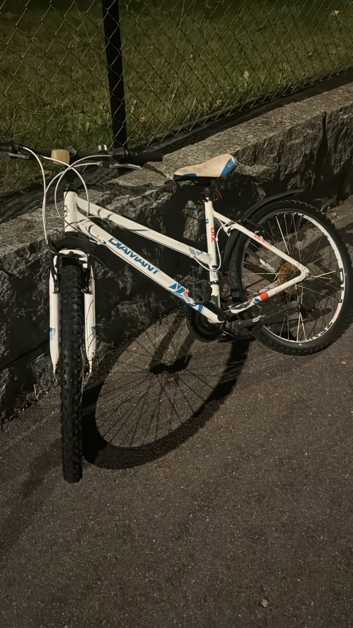 Found bike