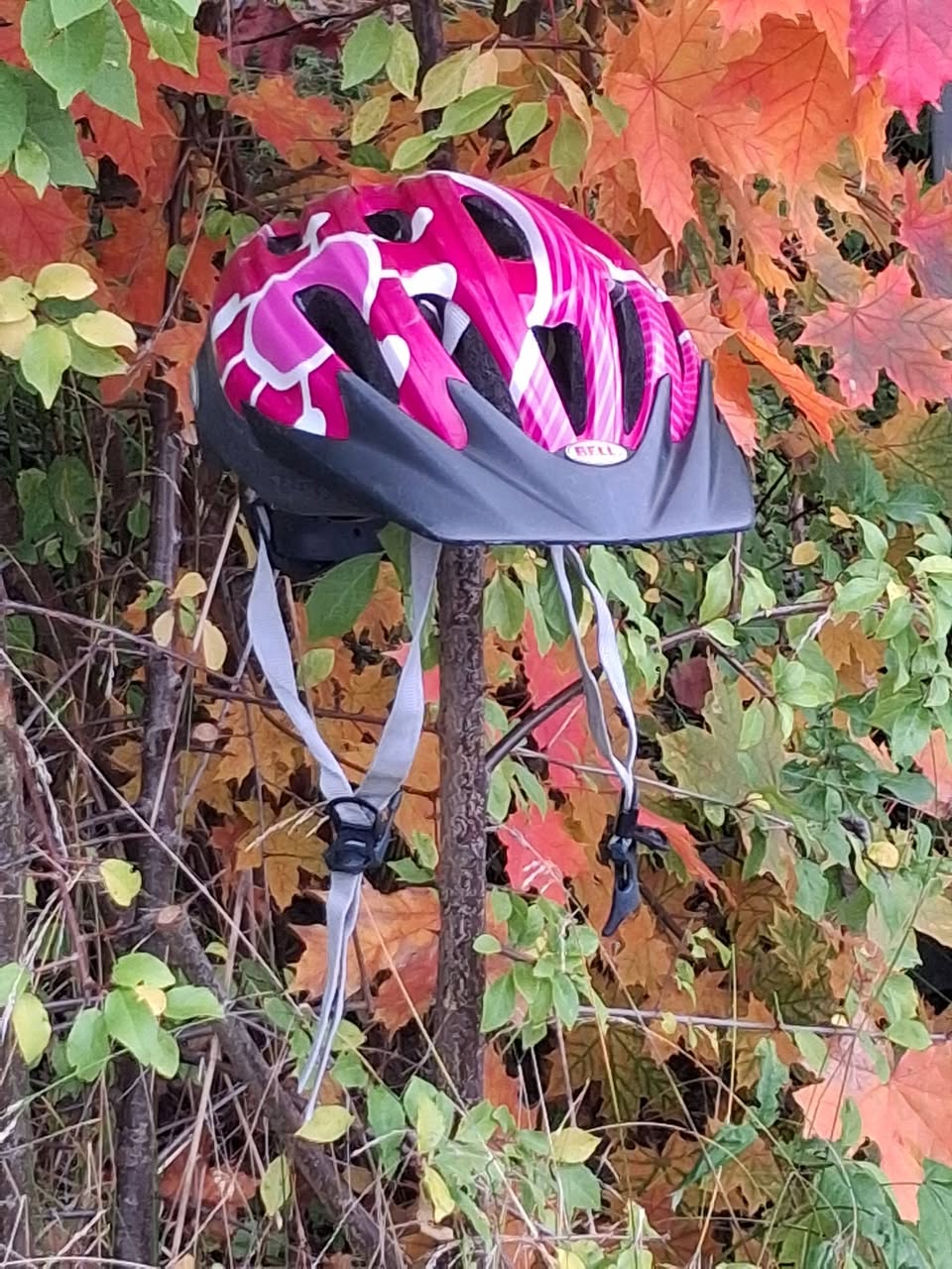 Found helmet