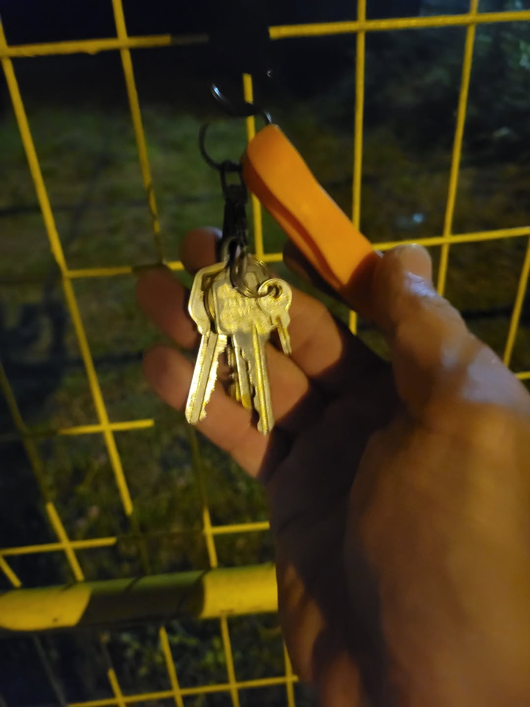 Found keys
