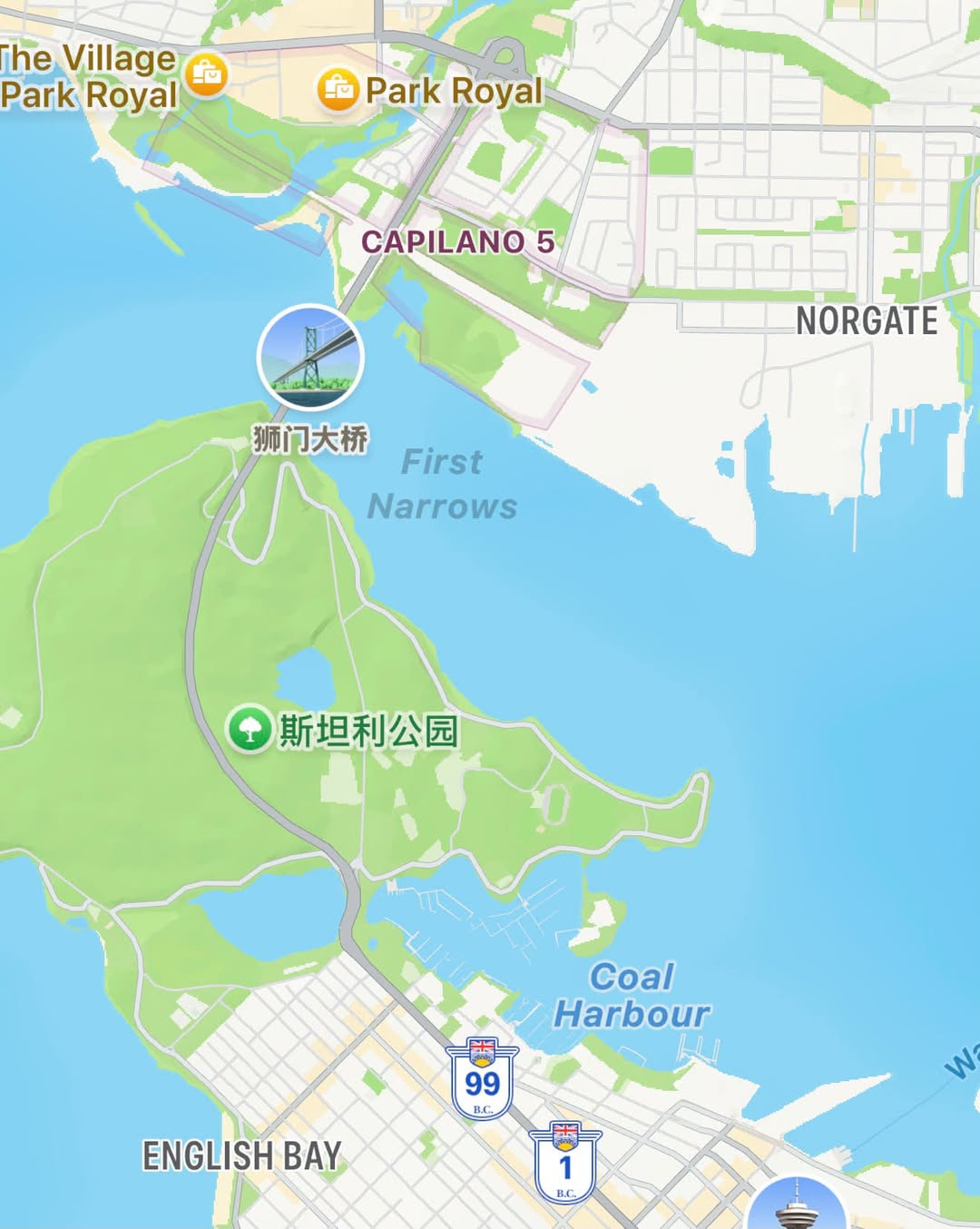 Lost Camera in English Bay
