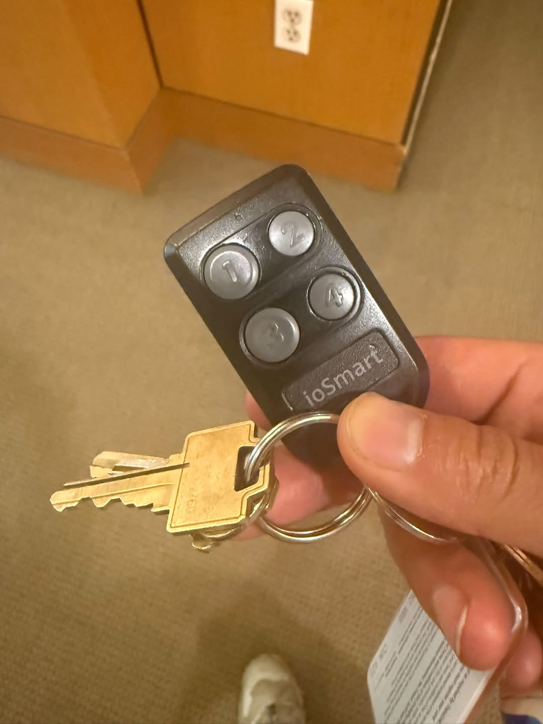 Lost Keys in Lougheed
