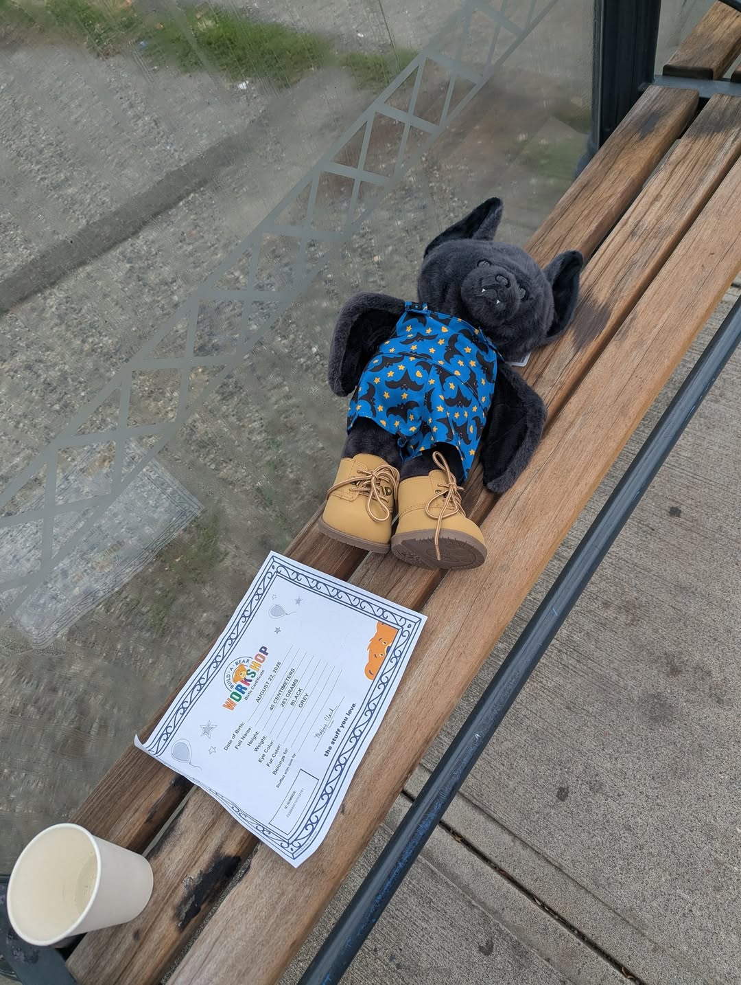 Found Plush Toy in Vancouver
