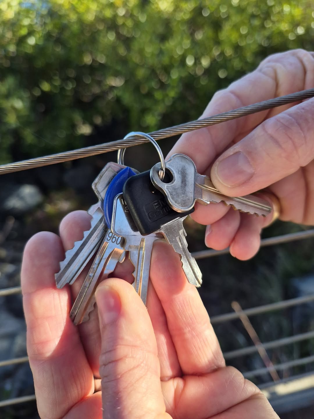 Found keys