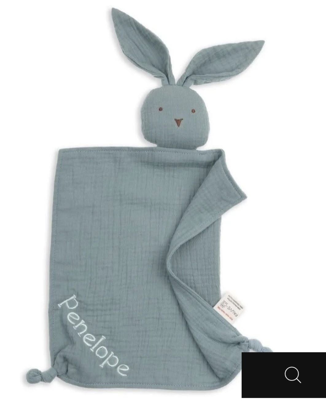 Lost Blanket in Gold Coast