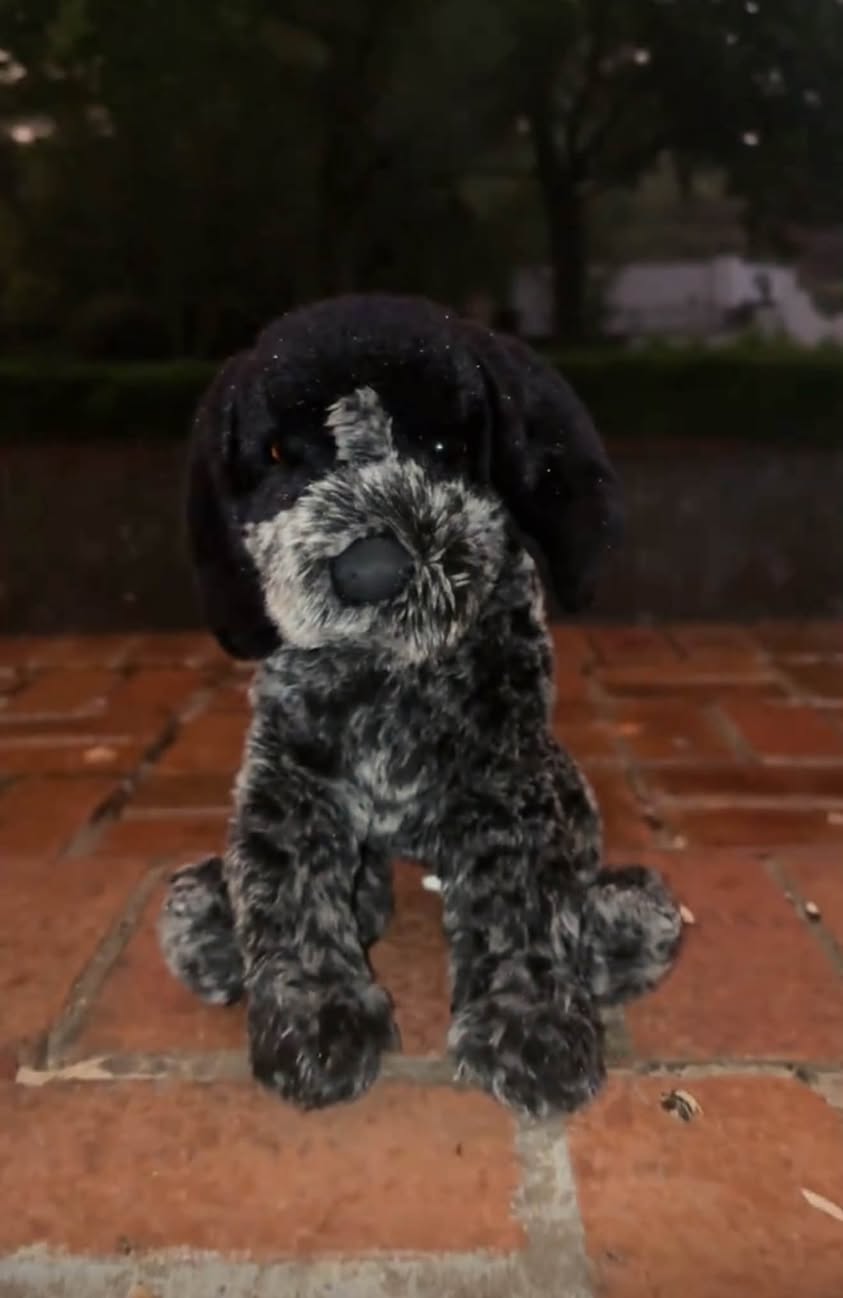 Lost Toy in New York City