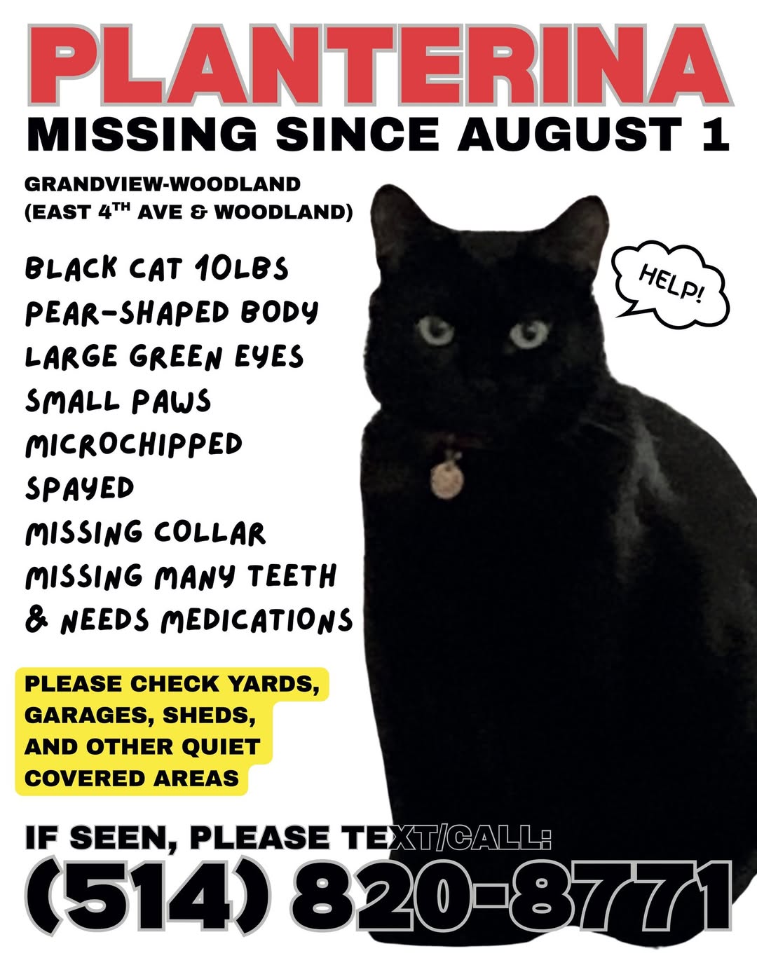 Lost Cat in Grandview-Woodland
