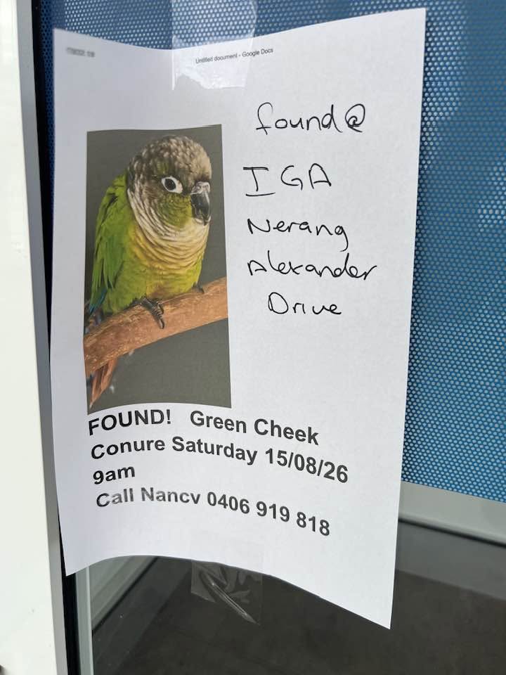 Found bird