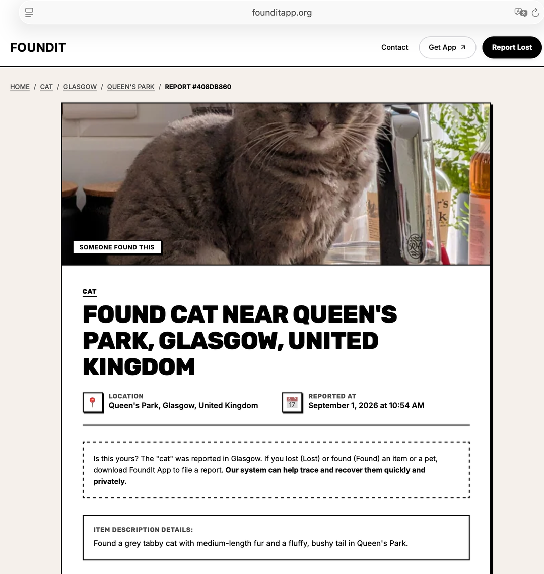 Found cat