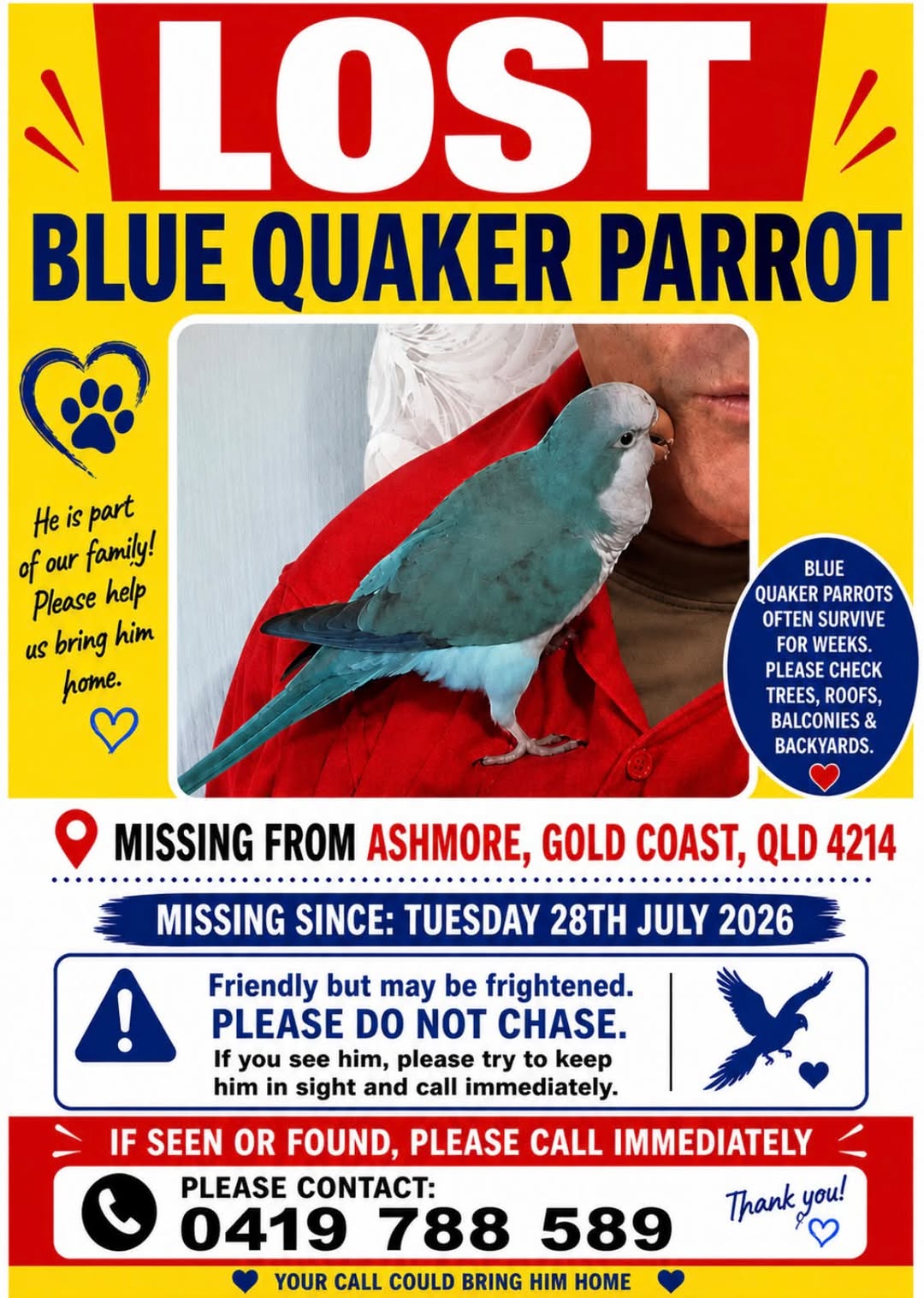 Lost bird