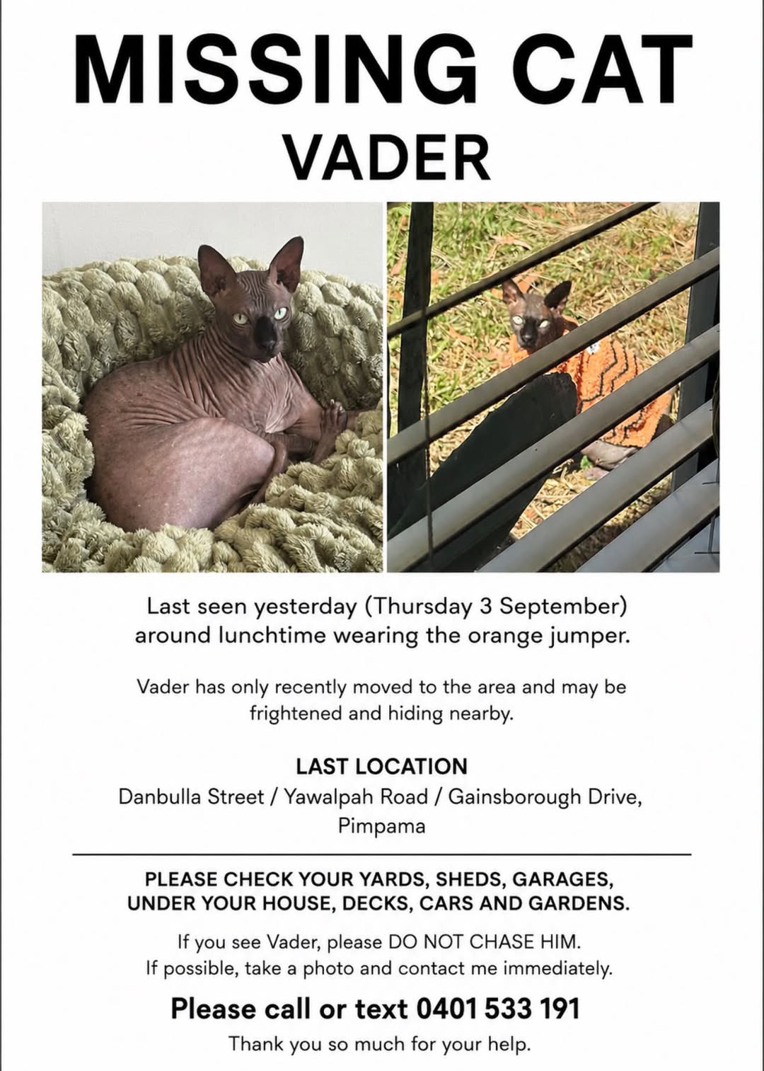 Lost Cat in Pimpama
