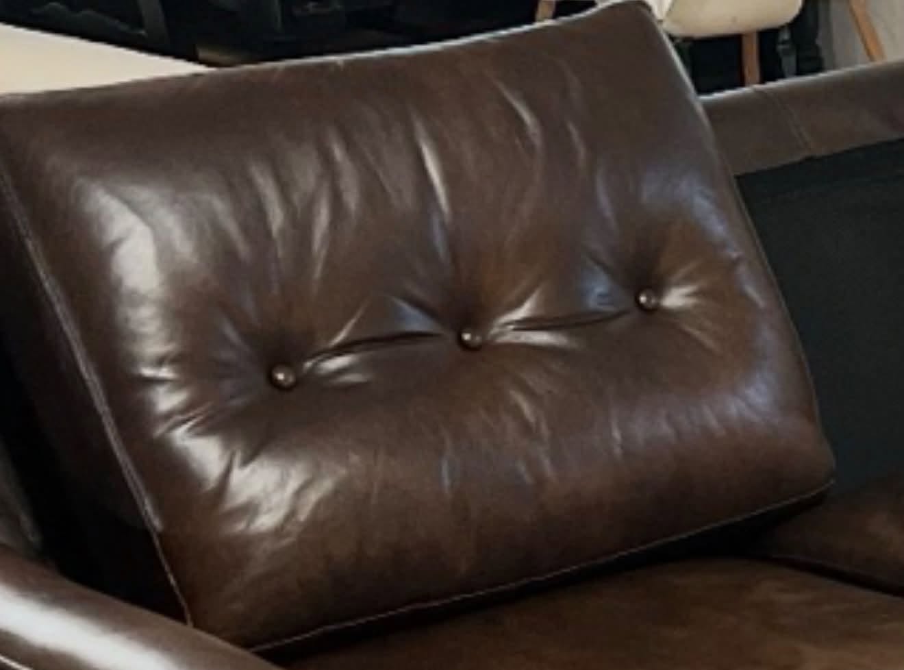 Lost Cushion in Austin
