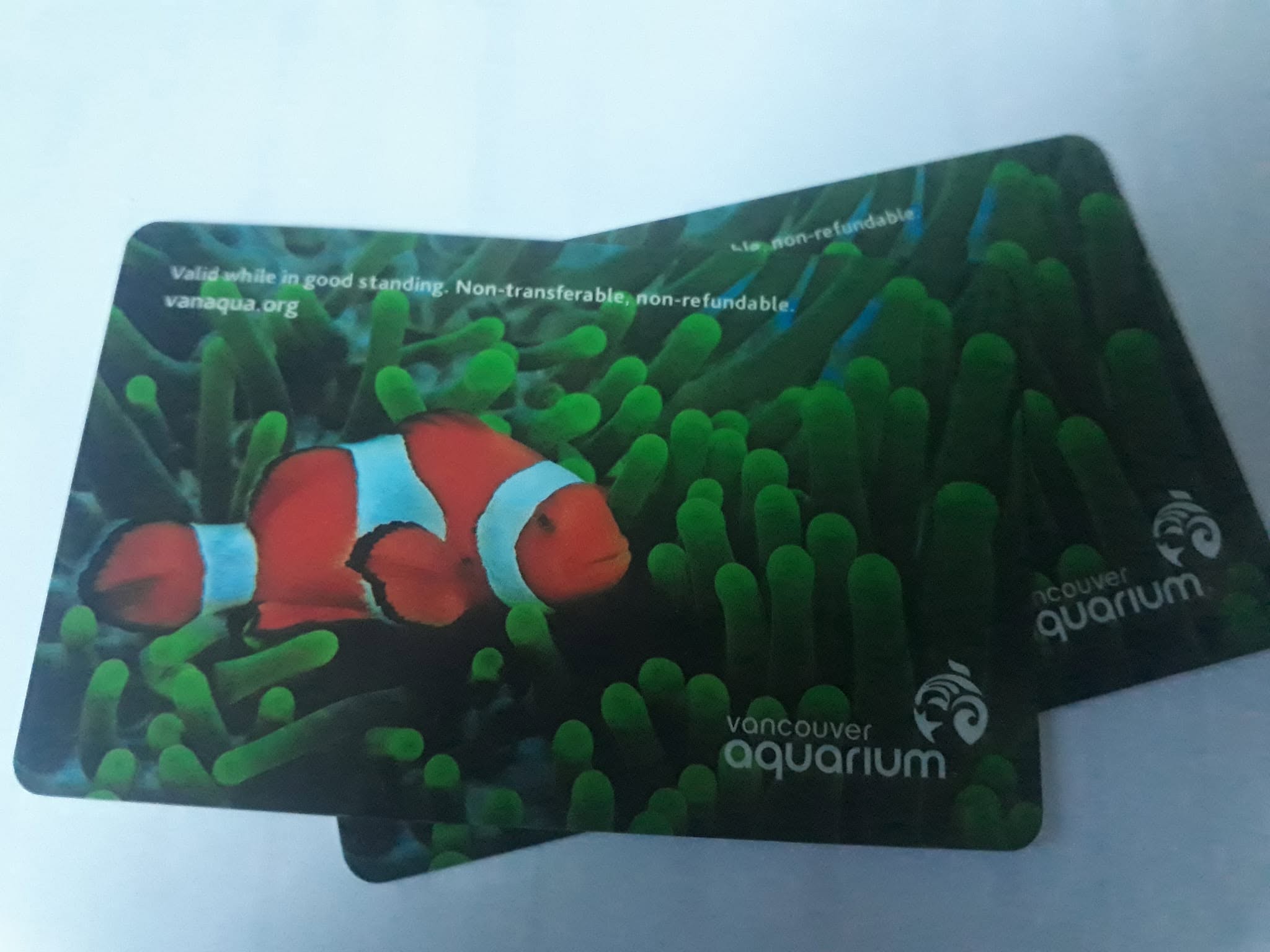 Found card