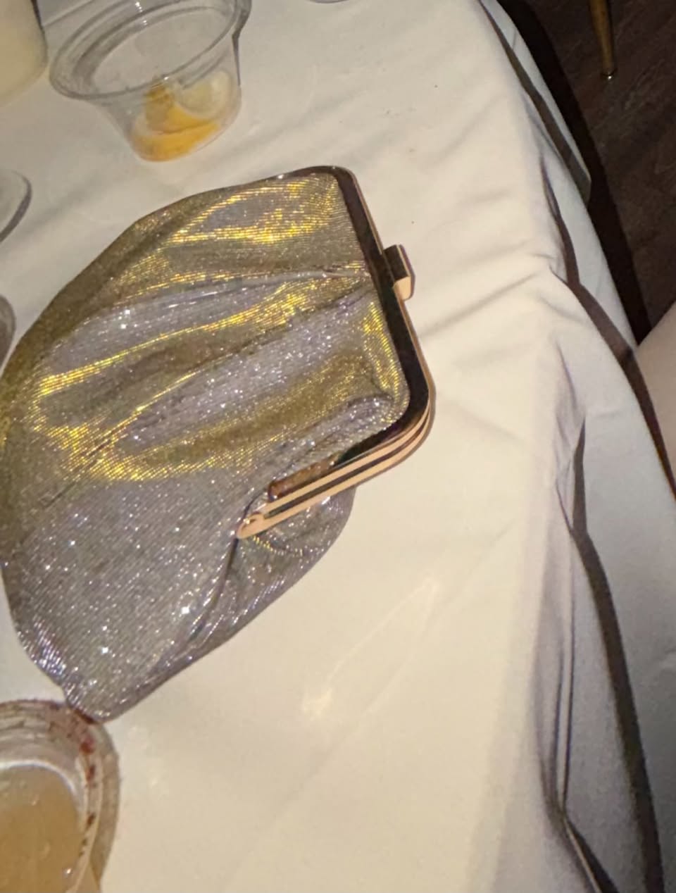 Lost Bag in Domain