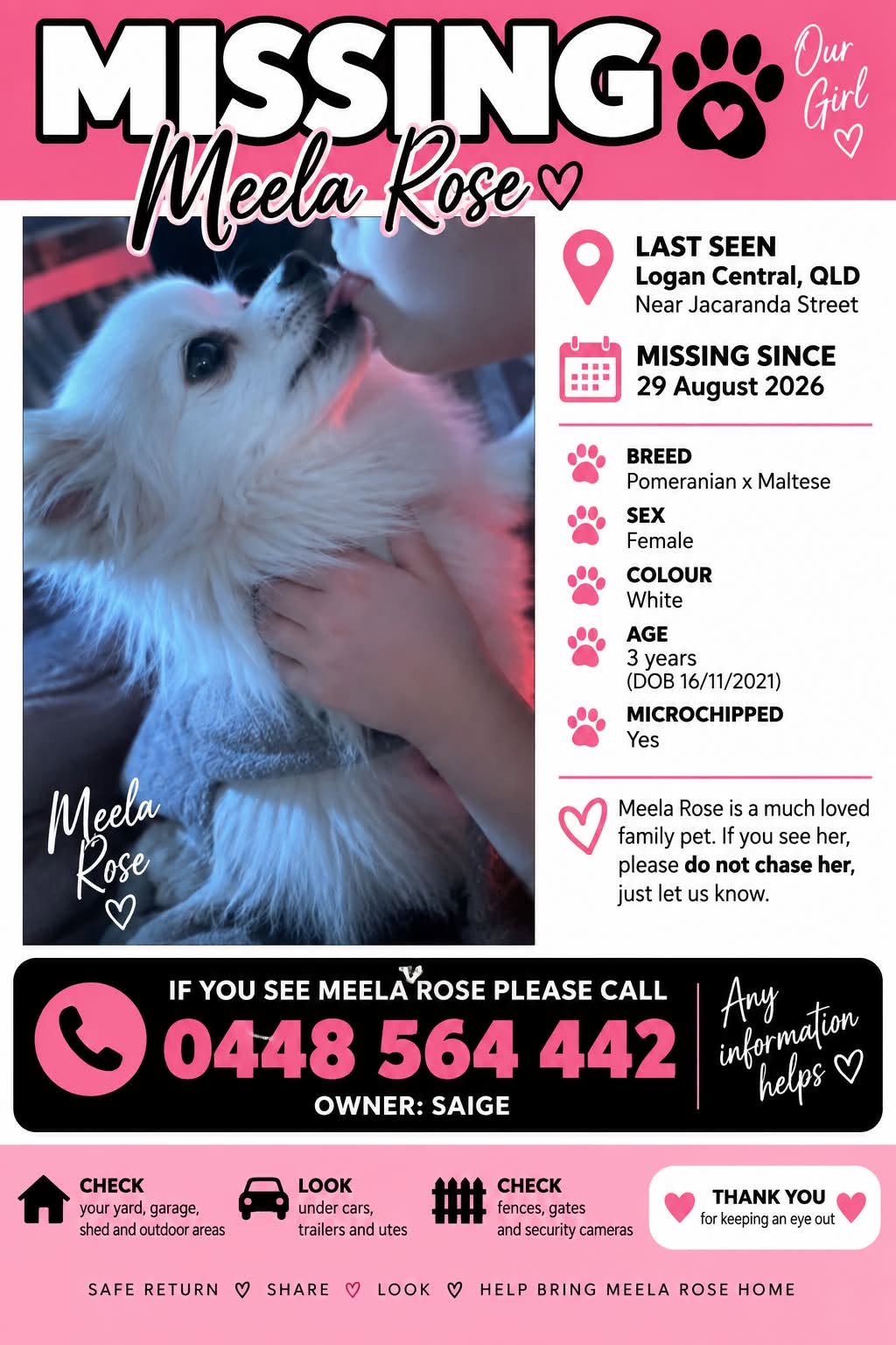 Lost dog